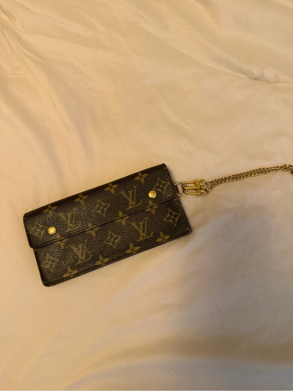 Louis Vuitton wallet with wristlet